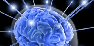 How Stress Causes Illness: PsychoNeuroImmunology how stress causes immunity