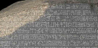 The Cancer Rosetta: How Different Healing Systems Understand Cancer Healing cancer naturally