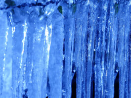 ‘The Journey’ By Brandon Bays: A Powerful Way To Heal