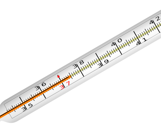 The Healing Power of Illness (Dethlefsen & Dahlke): Book Review