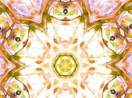 Nurturing Nature: Adit Dave’s Story (Colon Cancer)