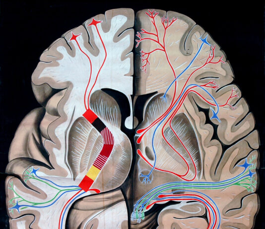 The Immune System: Mind-Body Bridge with Positive Thinking (4 of 4)