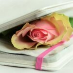 Cancer Poem