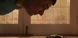 Thriving After Cancer Is Possible How Thriving after cancer is possible