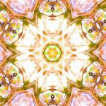 CA0006-Cellular Healing