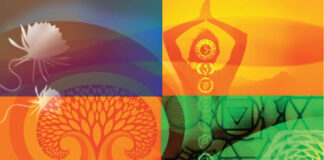 Our Energy Anatomy, Based On Yogic Chakras: Caroline Myss