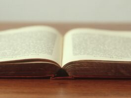 Top 20 Book Recommendations