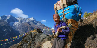 Who is a SHERPA?