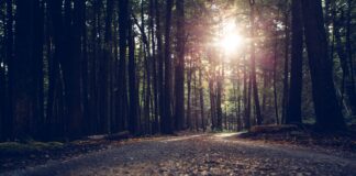 Cancer Myths: How They Impede Healing debunking cancer myths